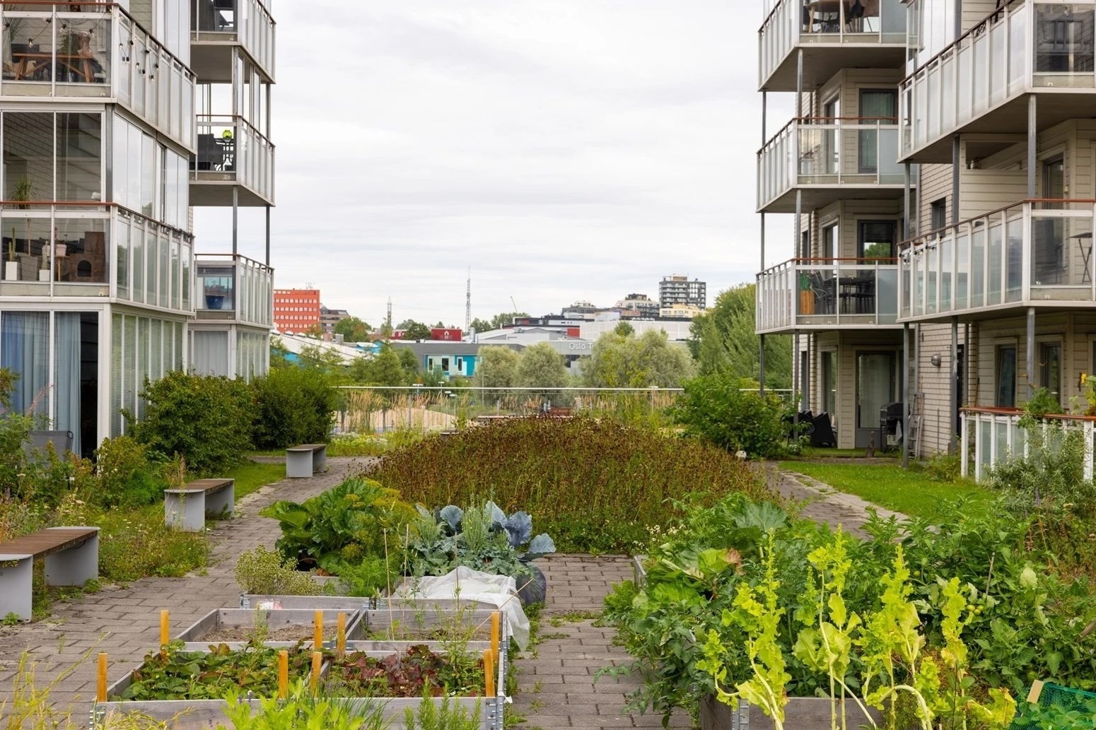 Grønne og veldrevende fellesarealer. Galleribilde