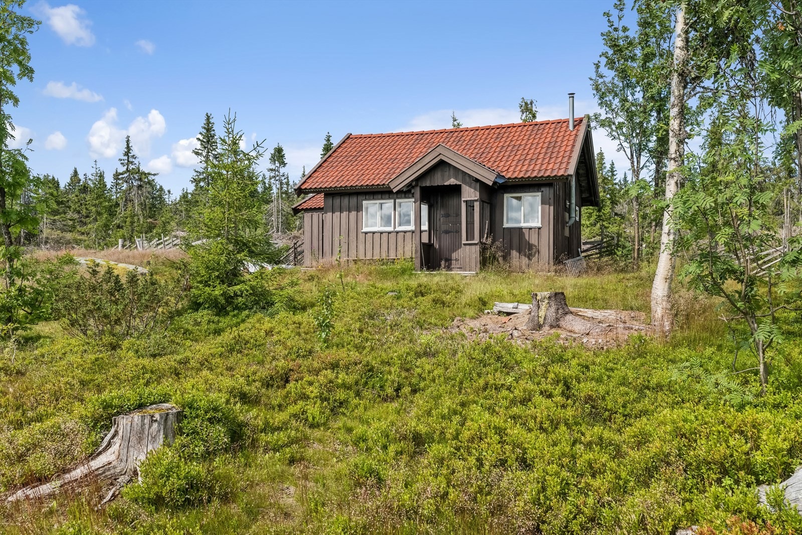Bilde fra anneks, idyllen som råder. Galleribilde