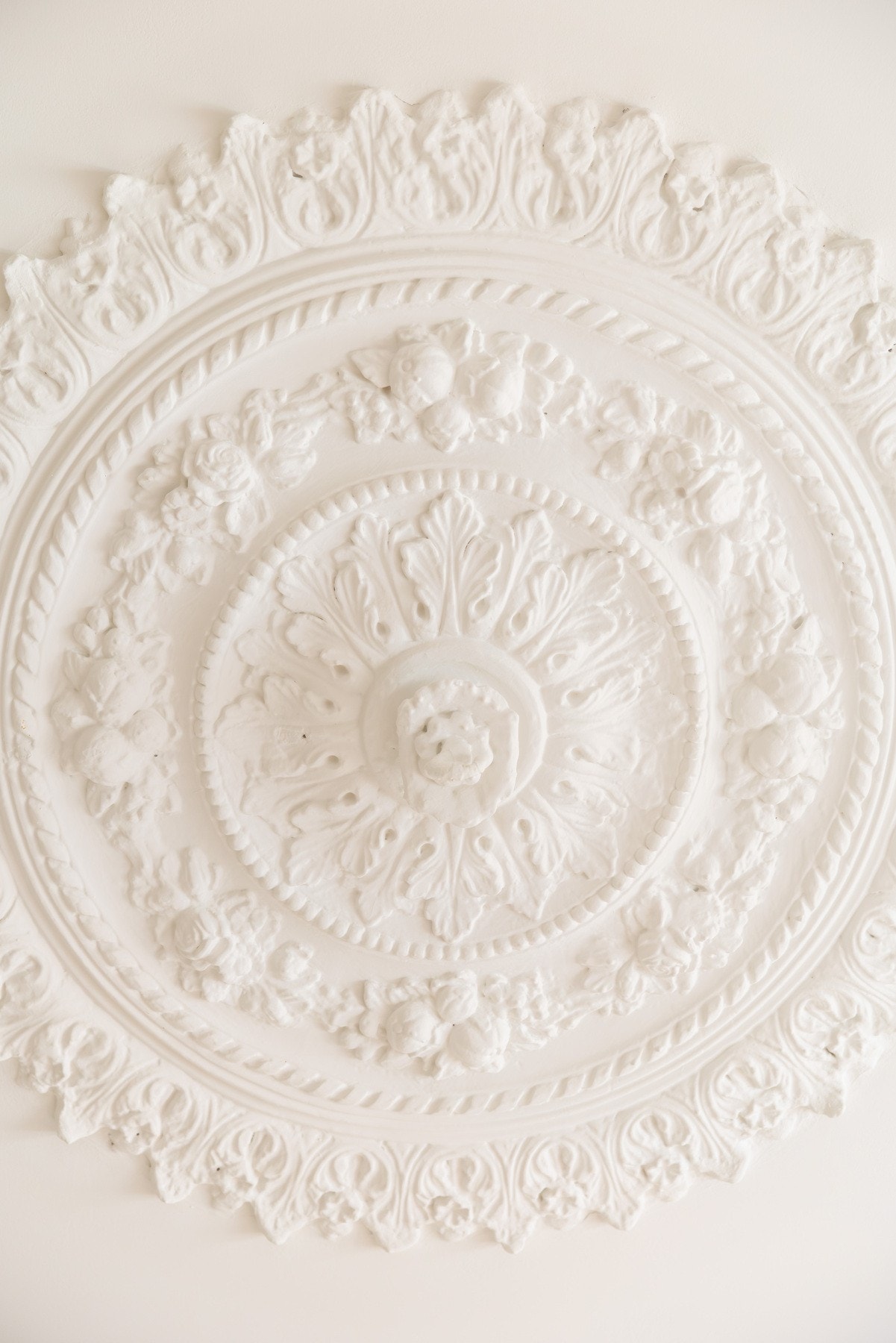 Original rosett i himling. Galleribilde