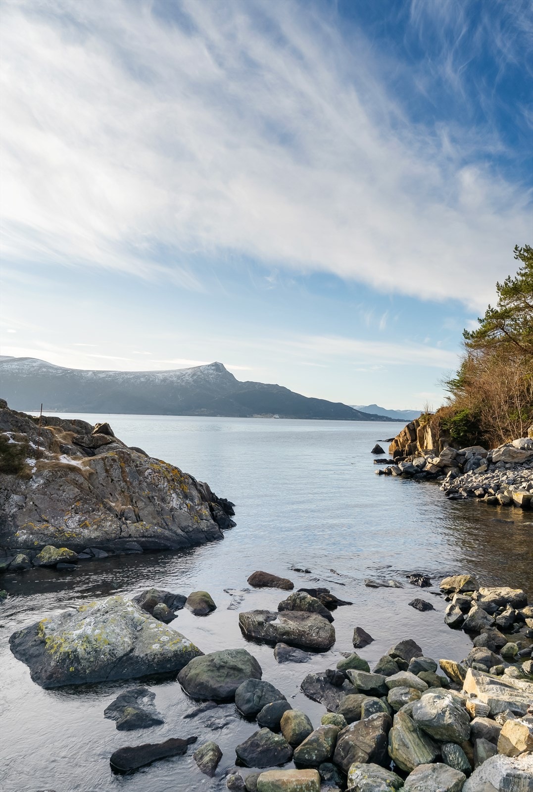 Nærområde Galleribilde