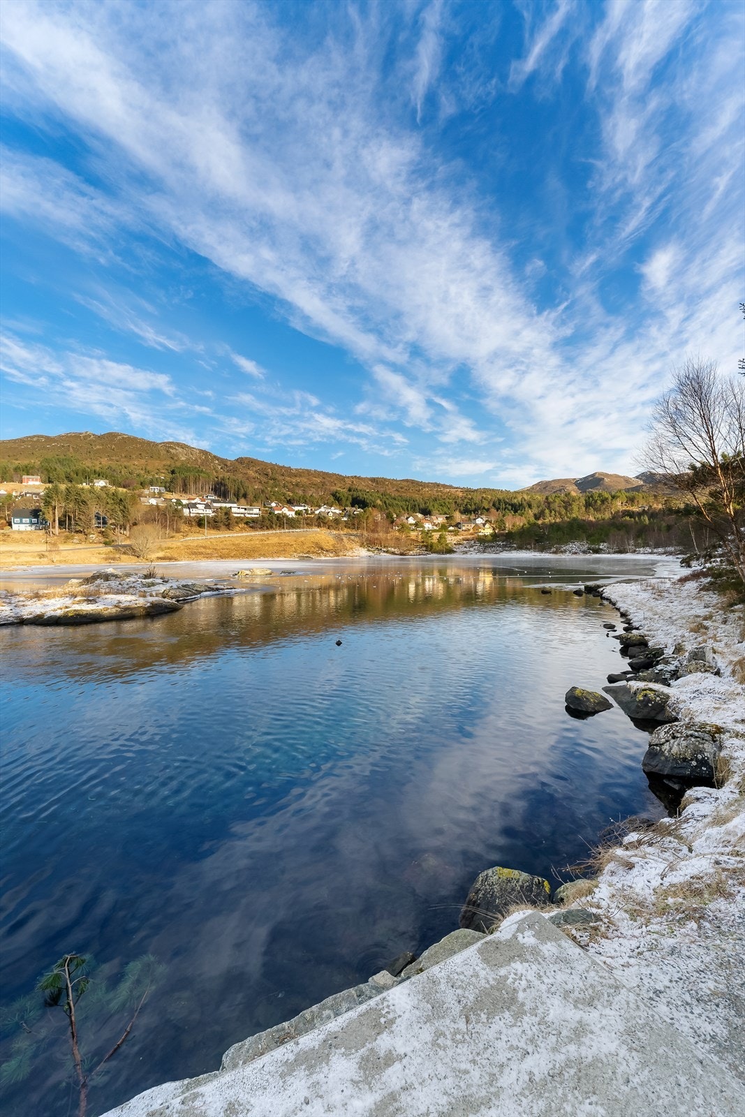 Nærområde Galleribilde