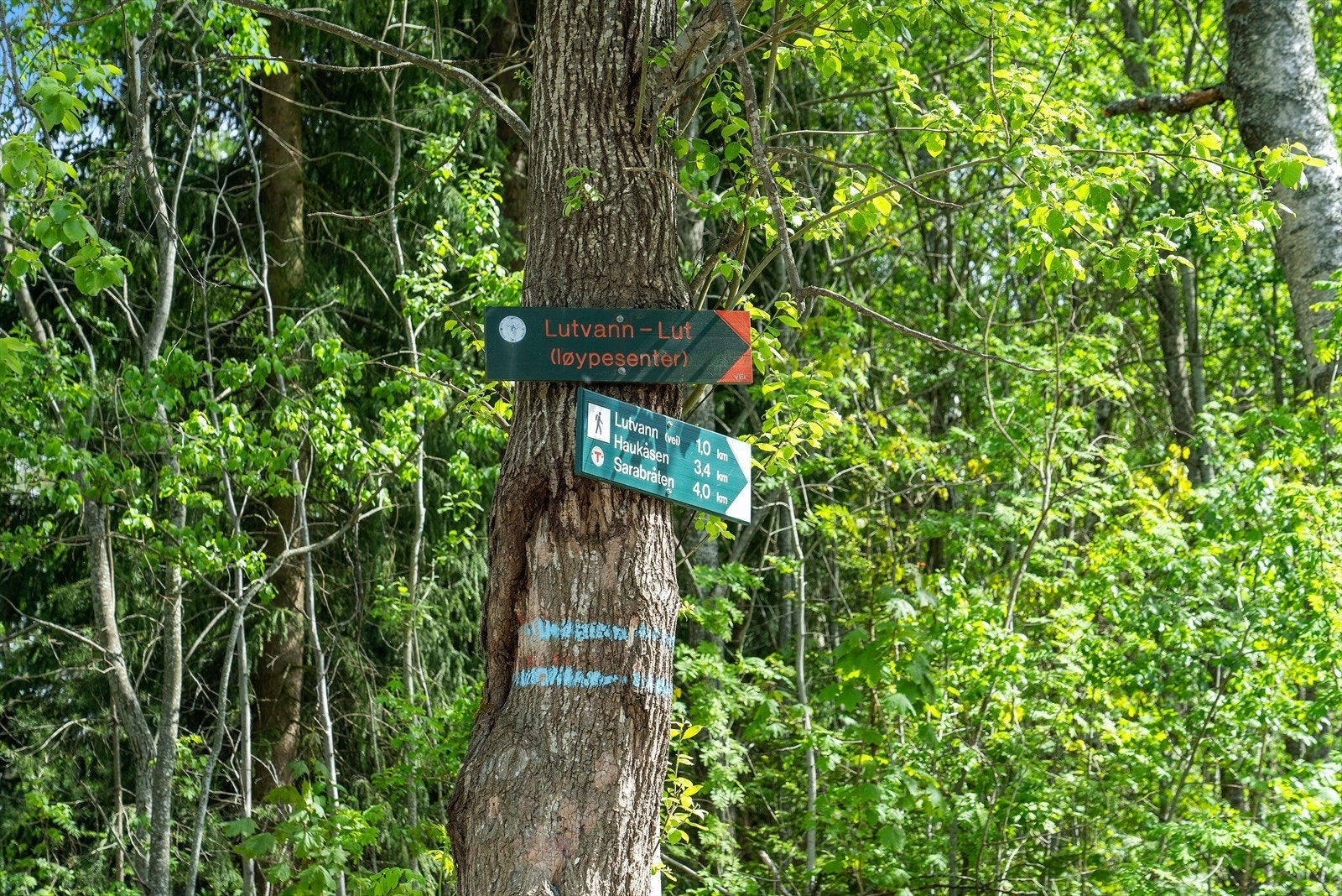 Lutvann er en vakker innsjø som ligger ca 10 minutters gange fra boligen, og her finner du både sandstrand og svaberg med deilige badetemperaturer. Galleribilde