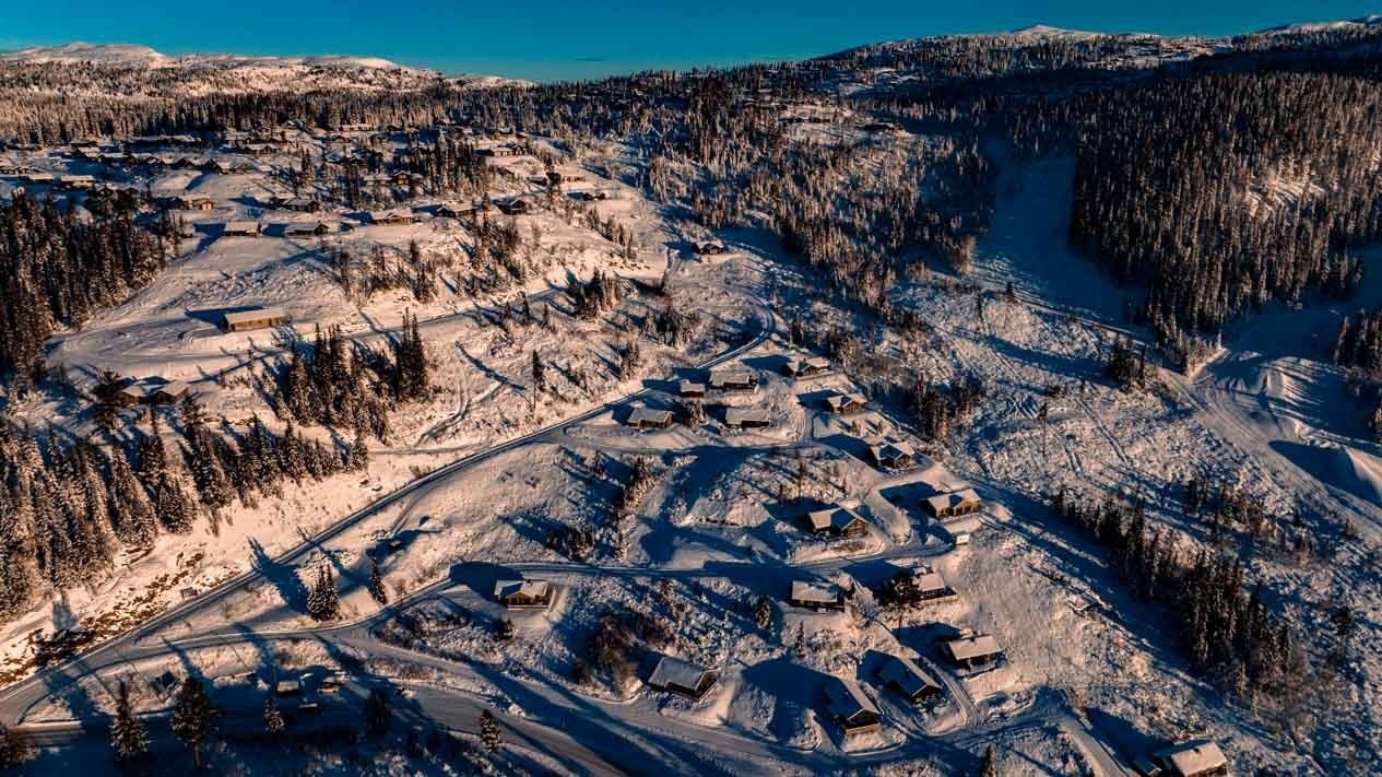 Bilde av hyttefeltet Galleribilde