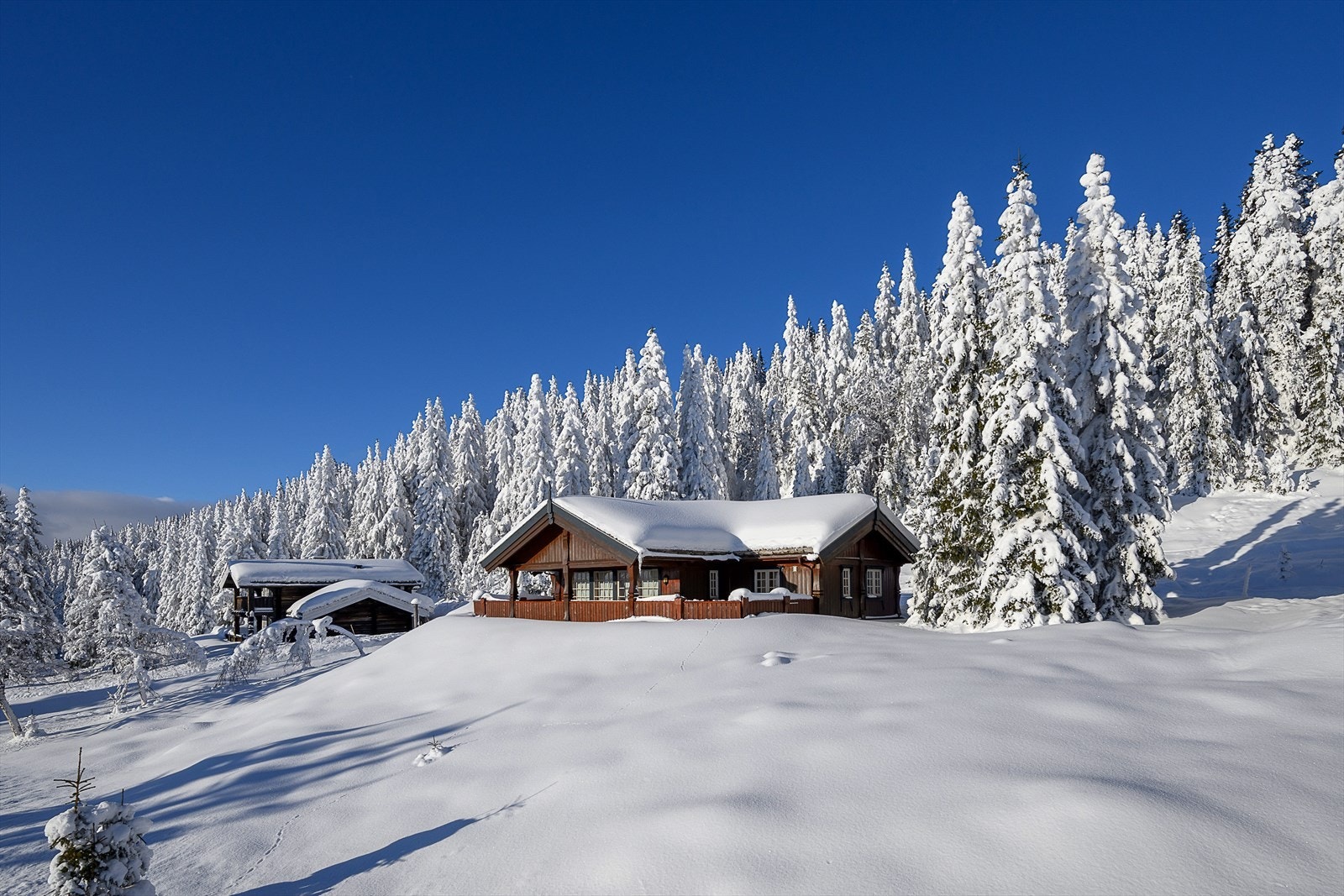 Fritidsboligen ligger veletablert til i hytteområdet med enkel adkomst til skiløyper og turstier. Tett på Sjusjøen skisenter for alpint også. Galleribilde