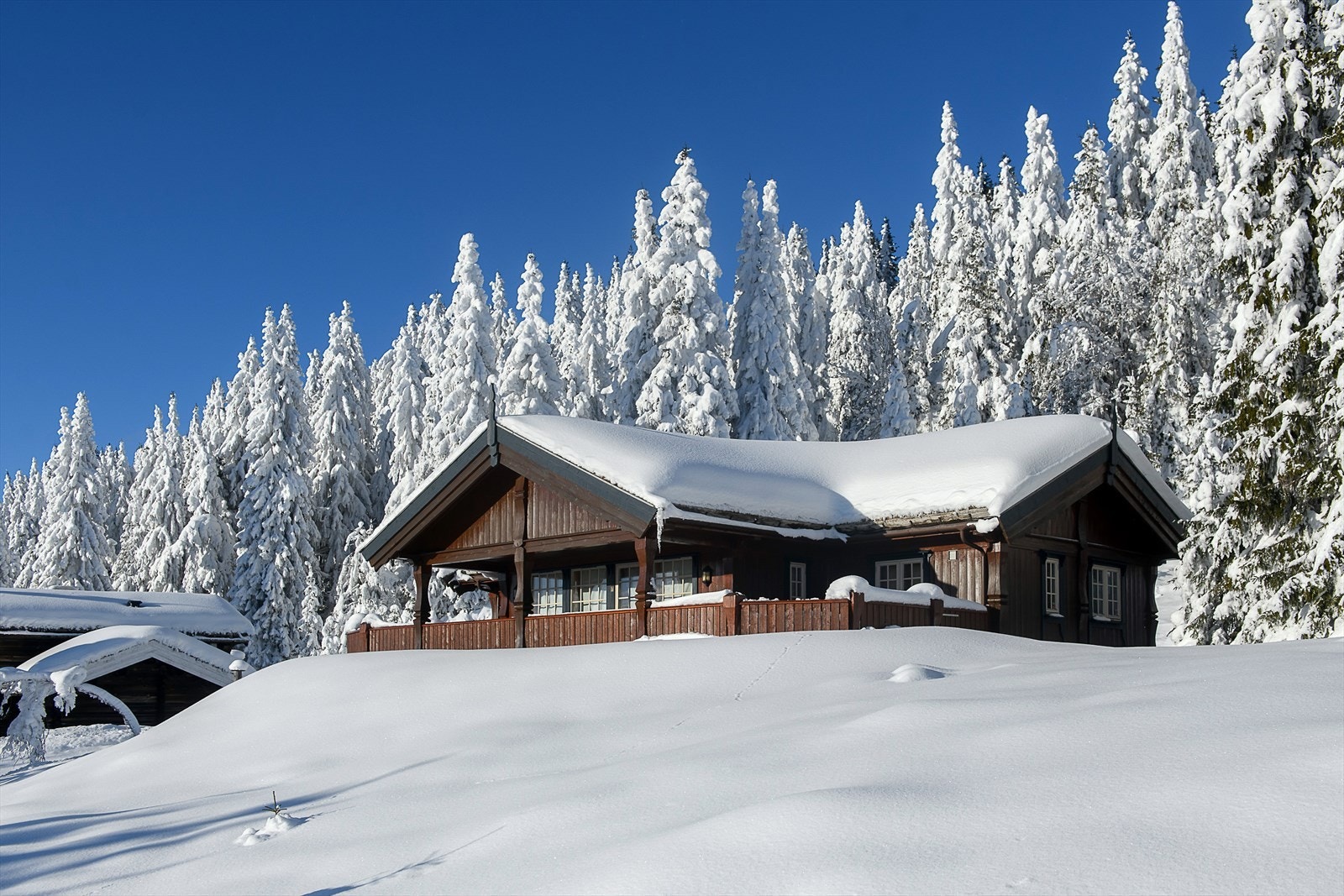 Tradisjonell stavlaft hytte med torvtak. Galleribilde