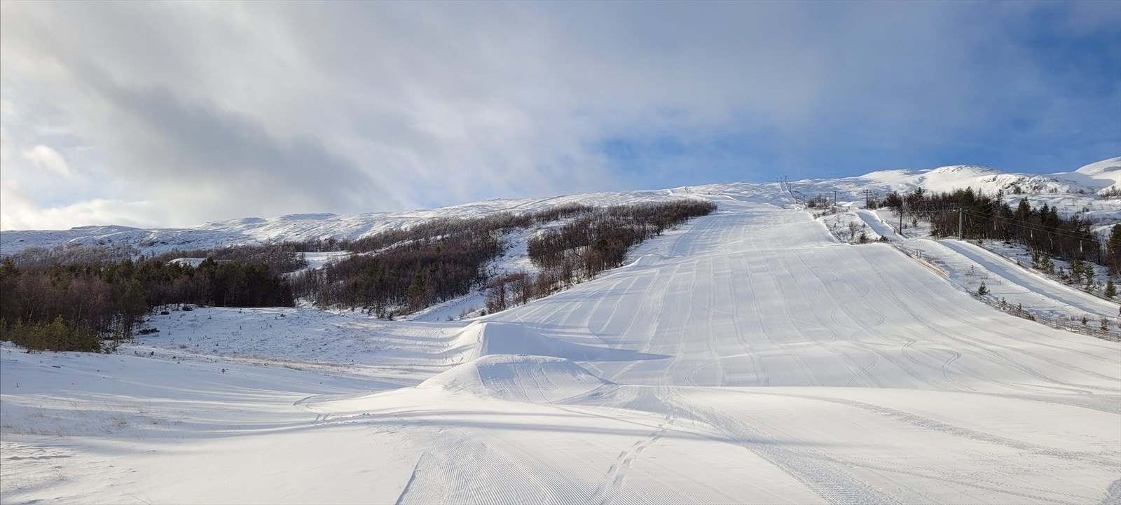 Privat bilde Galleribilde