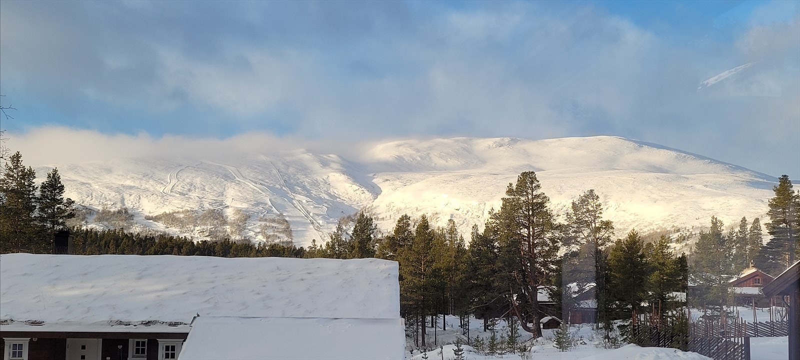 Privat bilde Galleribilde