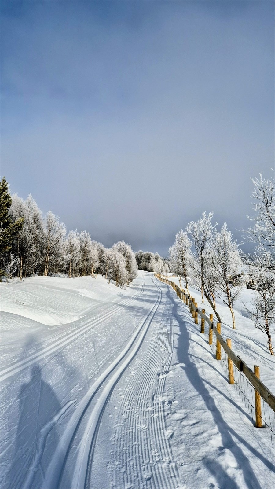 Privat bilde Galleribilde