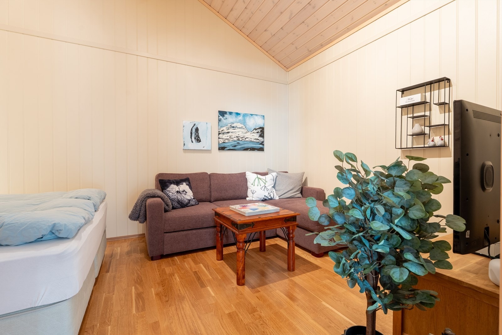 Ekstra stue/sengeplasser Galleribilde