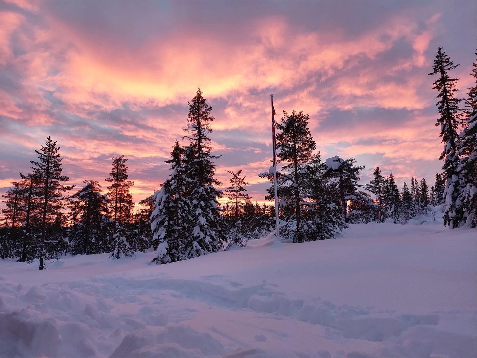 Fantastisk himmel Galleribilde