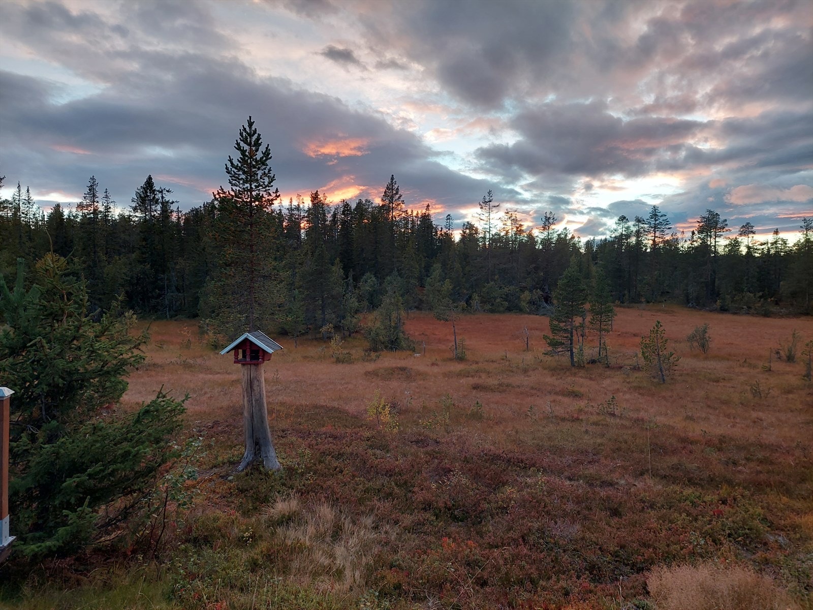 Utsikt mot Vegglifjell Galleribilde