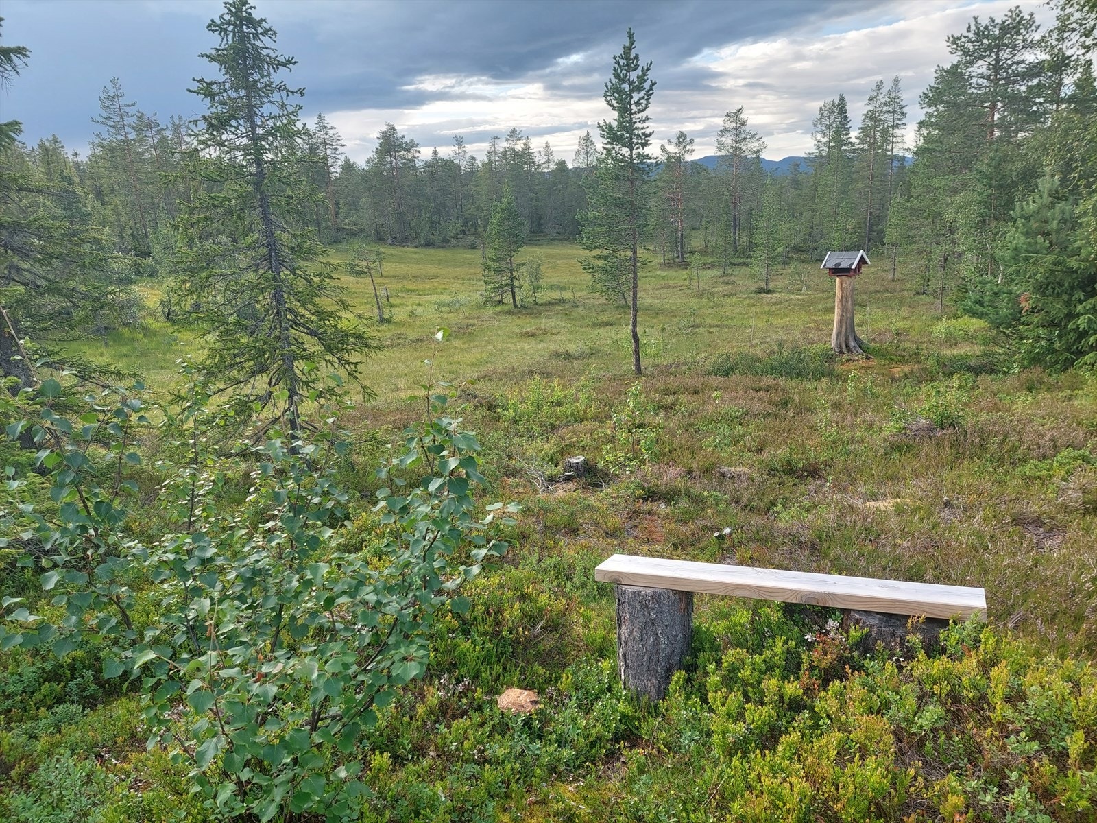 Utsiktsbenk Galleribilde