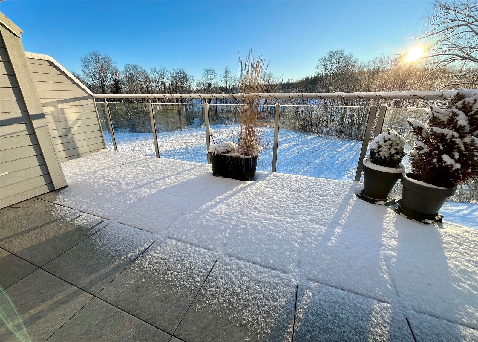 Selgers bilde. Galleribilde