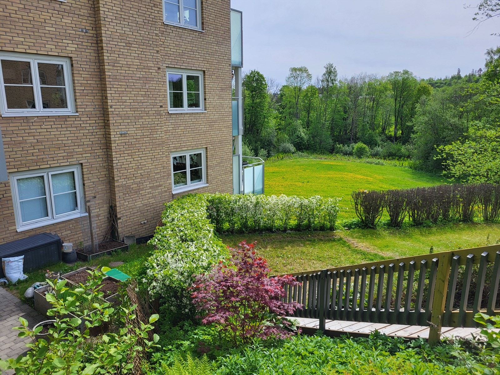 Selgers bilde av forhagen. Galleribilde