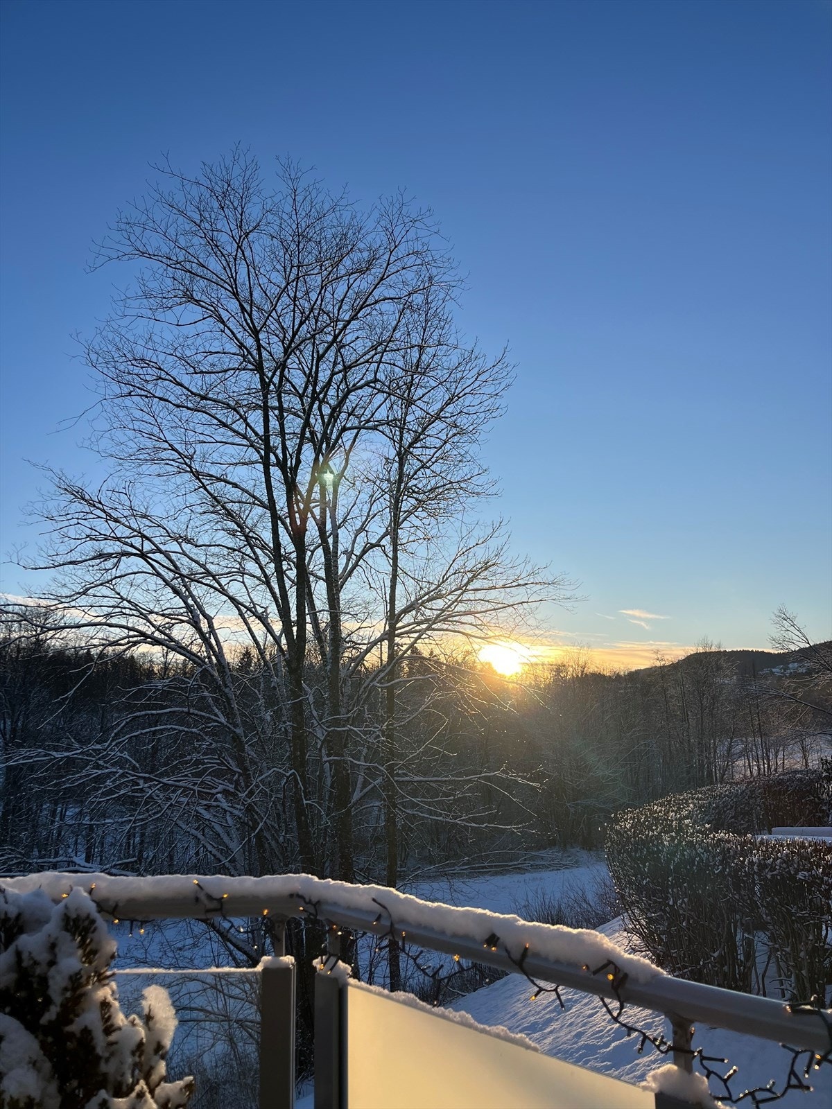 Selgers bilde. Galleribilde