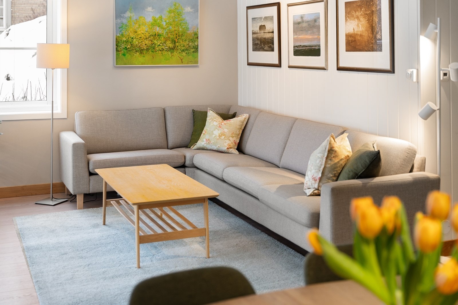 God plass til sofaseksjon med tilhørende mediamøbler. Galleribilde