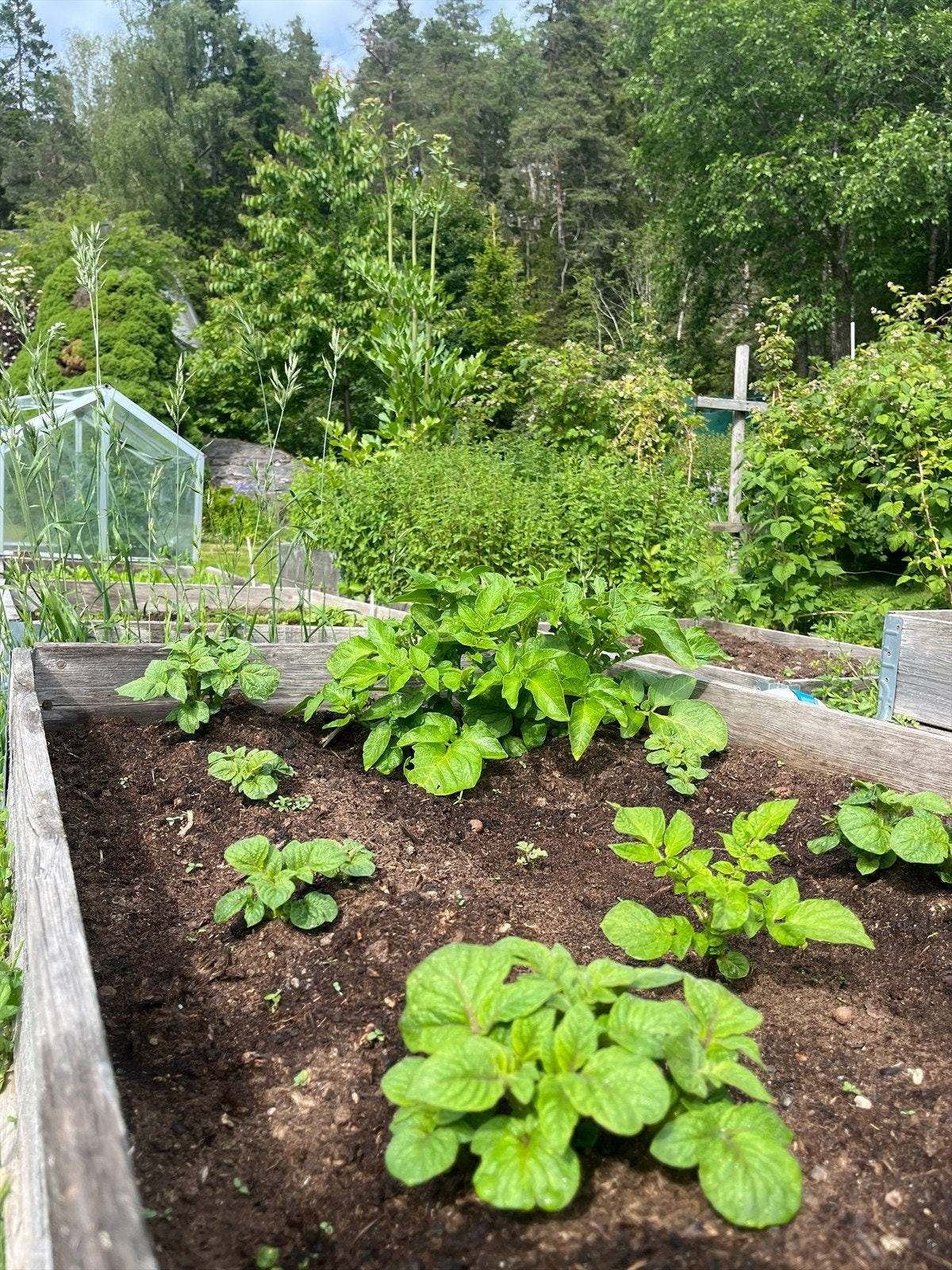 Her er det mange muligheter for hobbygartneren - Selgers bilde Galleribilde