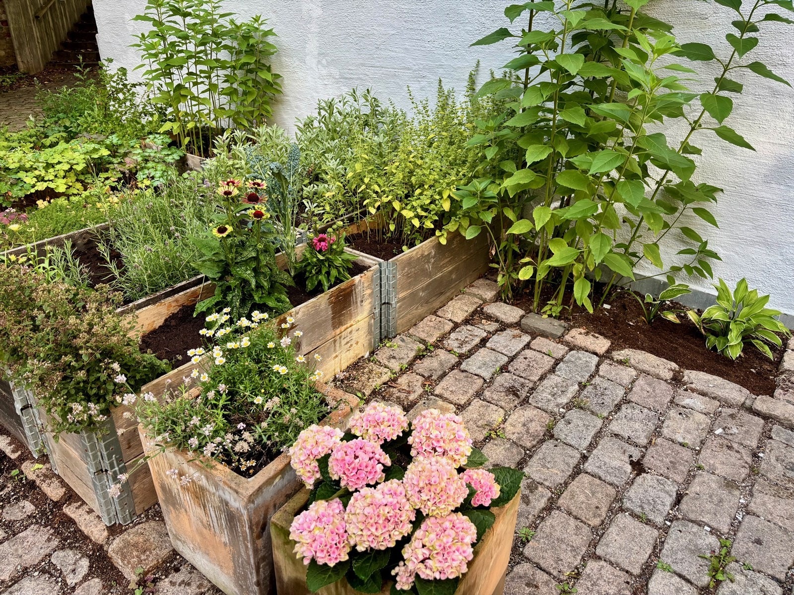 Sameiet legger til rette for beplantning og trivsel i fellesarealene. Galleribilde