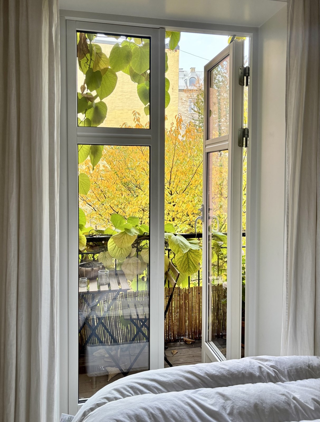 Utsikt fra soverommet mot den grønne og frodige bakgården. Galleribilde