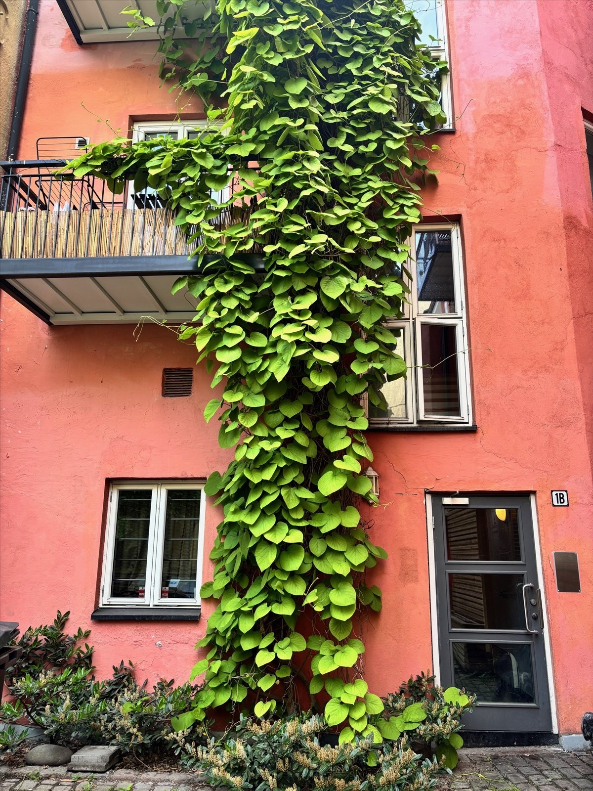 Bygården har en klassisk fasade i mur som er pusset og malt. Galleribilde