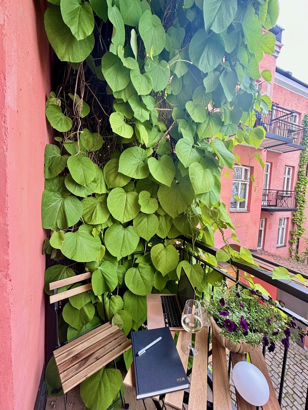 Selgers private bilde fra sommersesongen. Galleribilde