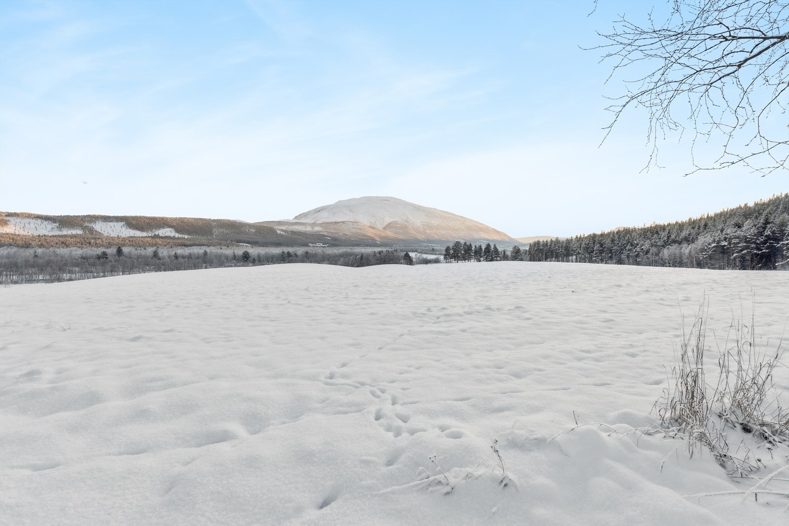 Området byr på flott turterreng for turer både sommer og vinter. Galleribilde