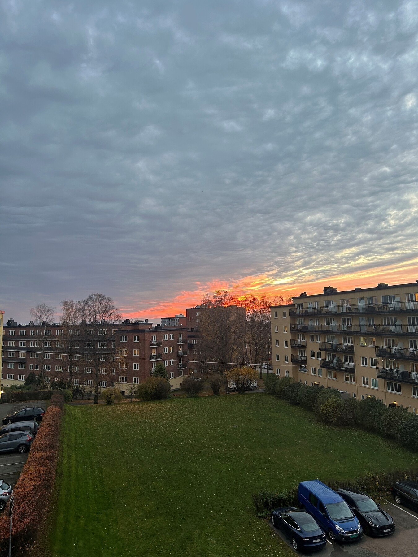 Selgers eget bilde Galleribilde