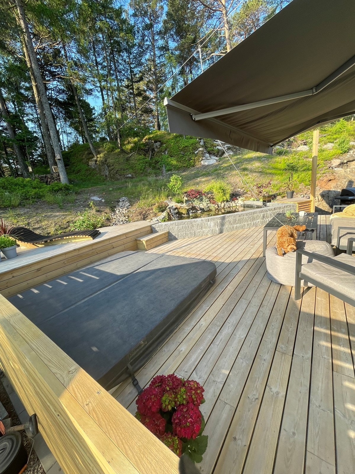 Sjekk ut eiers egne bilder sommerstid Galleribilde