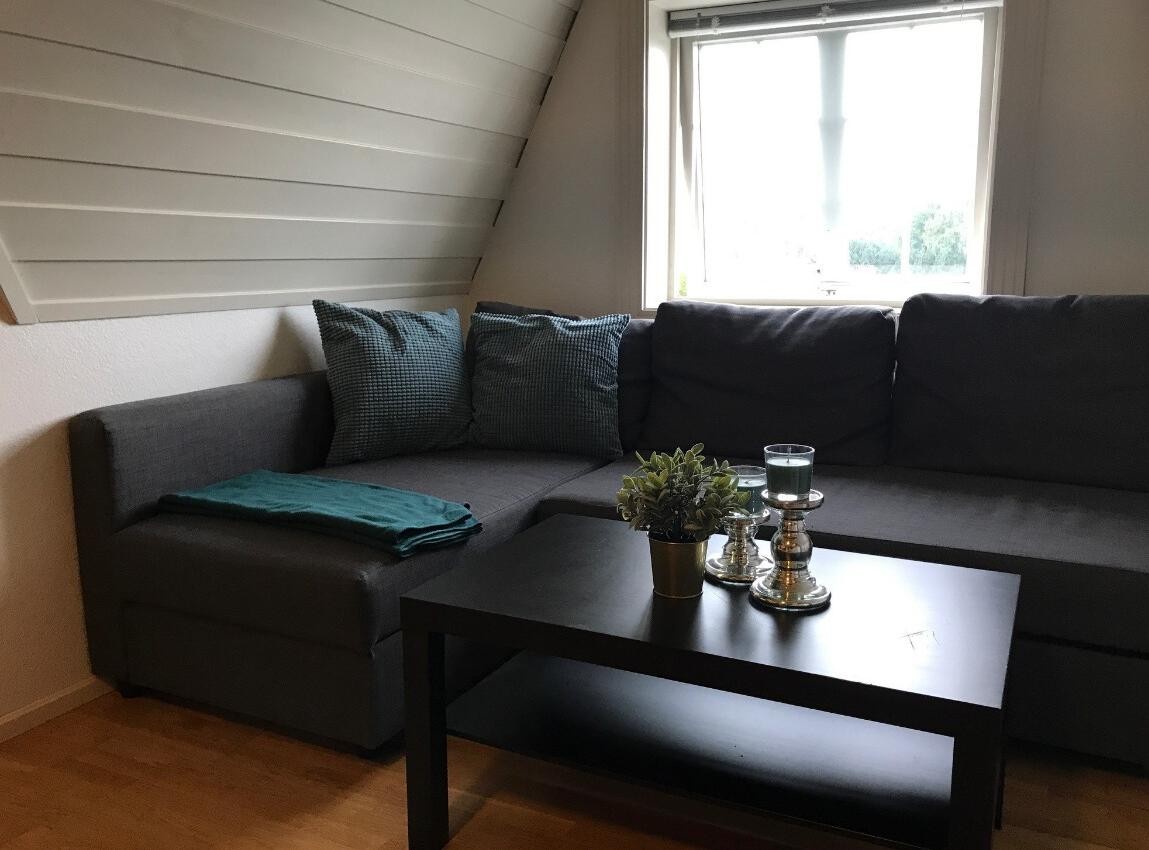 Funksjonell stue- og kjøkkenløsning på 17,5 kvm, godt tilpasset utleiebehov. (Privat bilde) Galleribilde