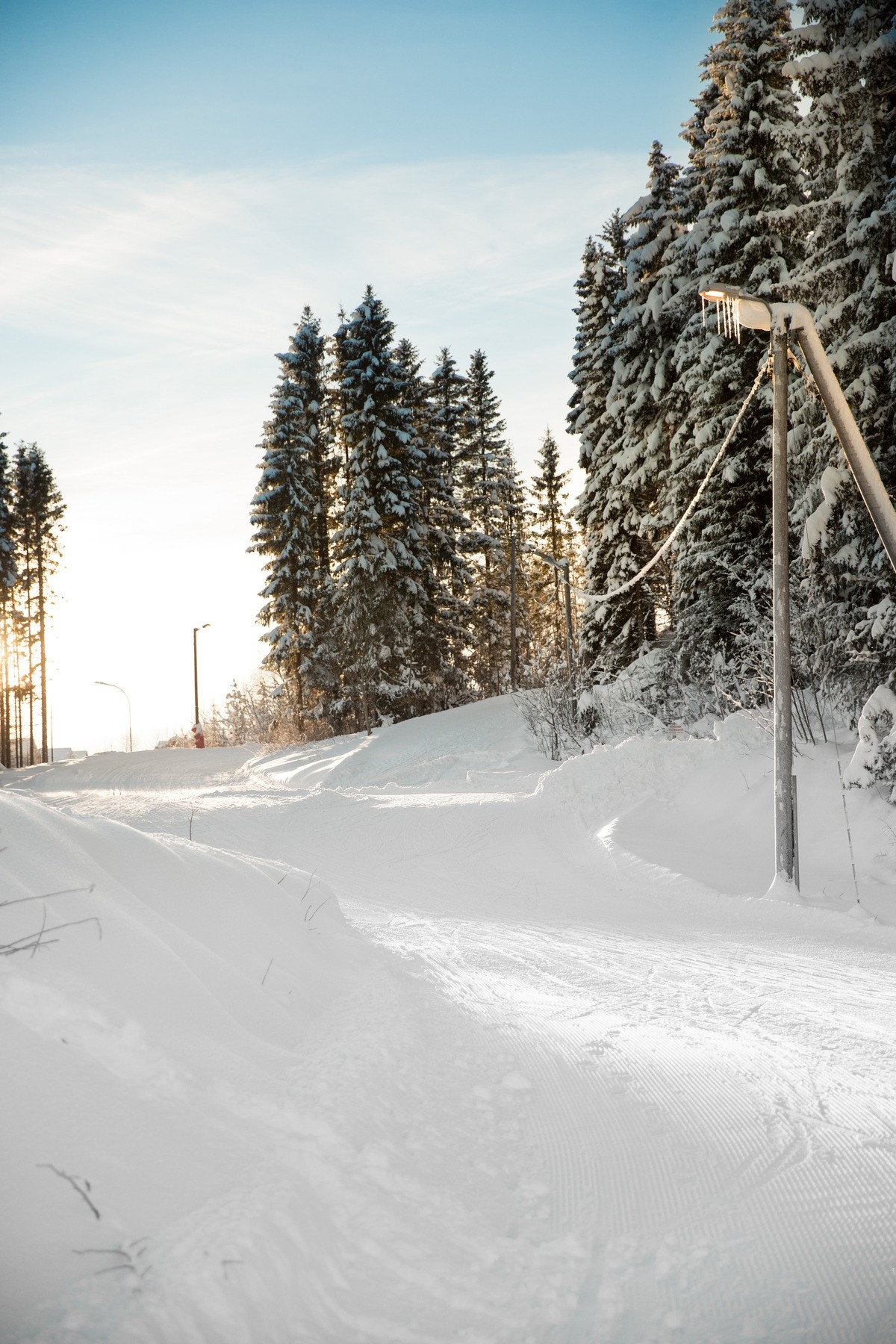 Kort vei til Bymarka med fantastisk løypenettverk. Galleribilde
