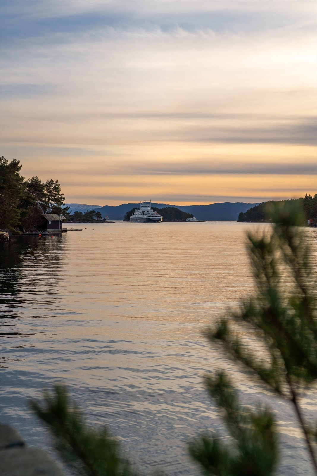 Nærområdet Galleribilde