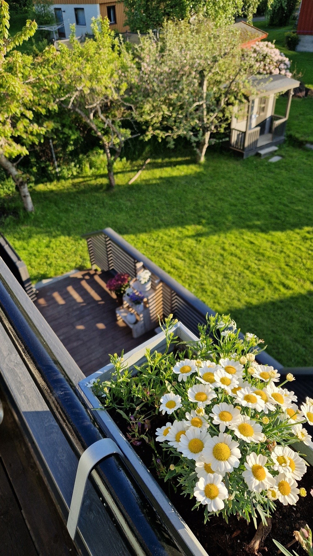 Selgers eget sommerbilde. Galleribilde