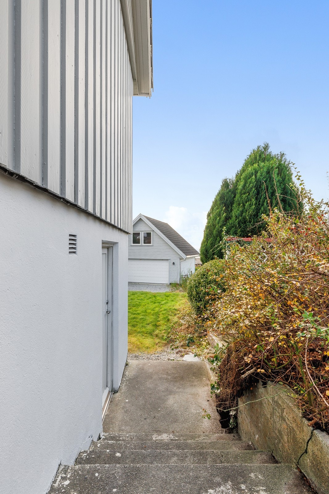 Inngang til kjelleren. Galleribilde