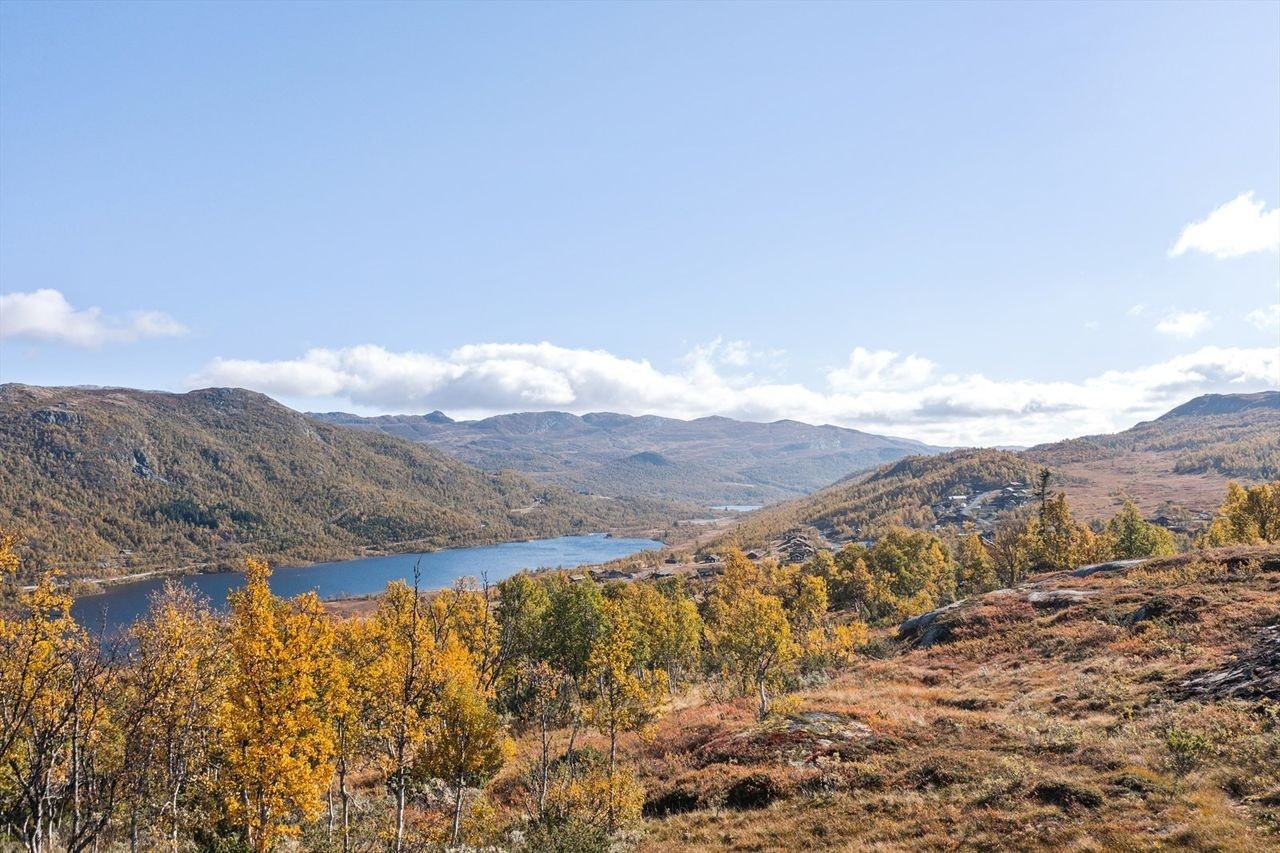 Bilde er tatt mot øst og viser blant annet Torvetjønn til venstre Galleribilde