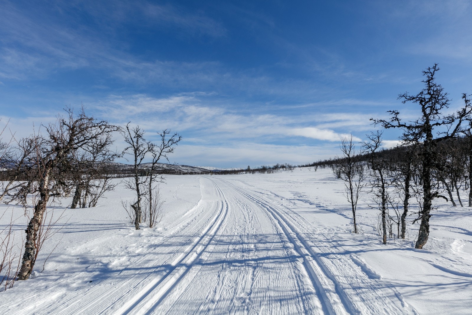 Skiløyper rett ved tomtene, inn i løypenettet til Dagalifjell Galleribilde