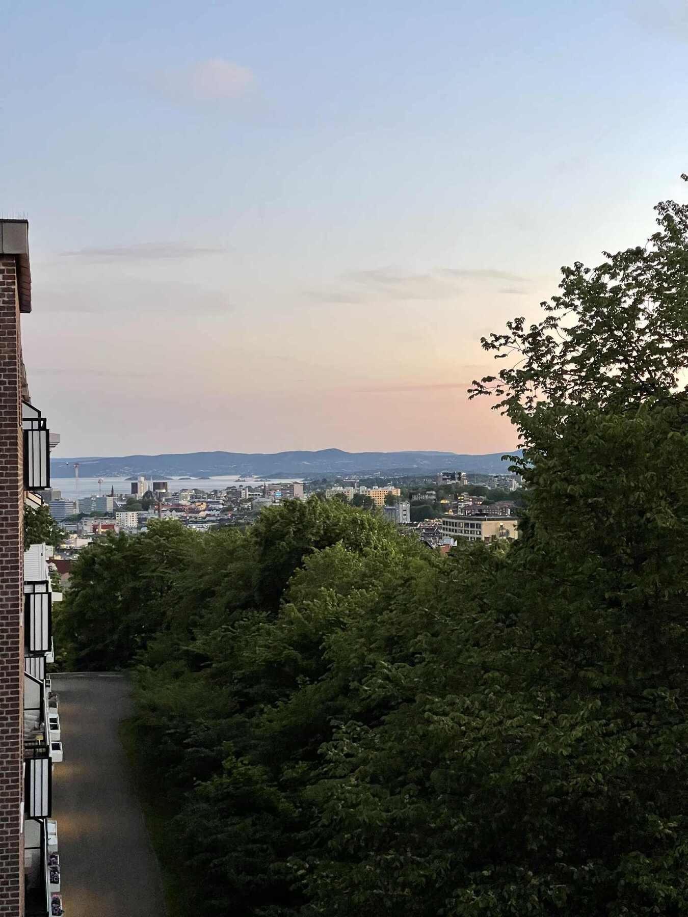 På sommerhalvåret oppleves området som en grønn oase (privat bilde fra borettslaget) Galleribilde