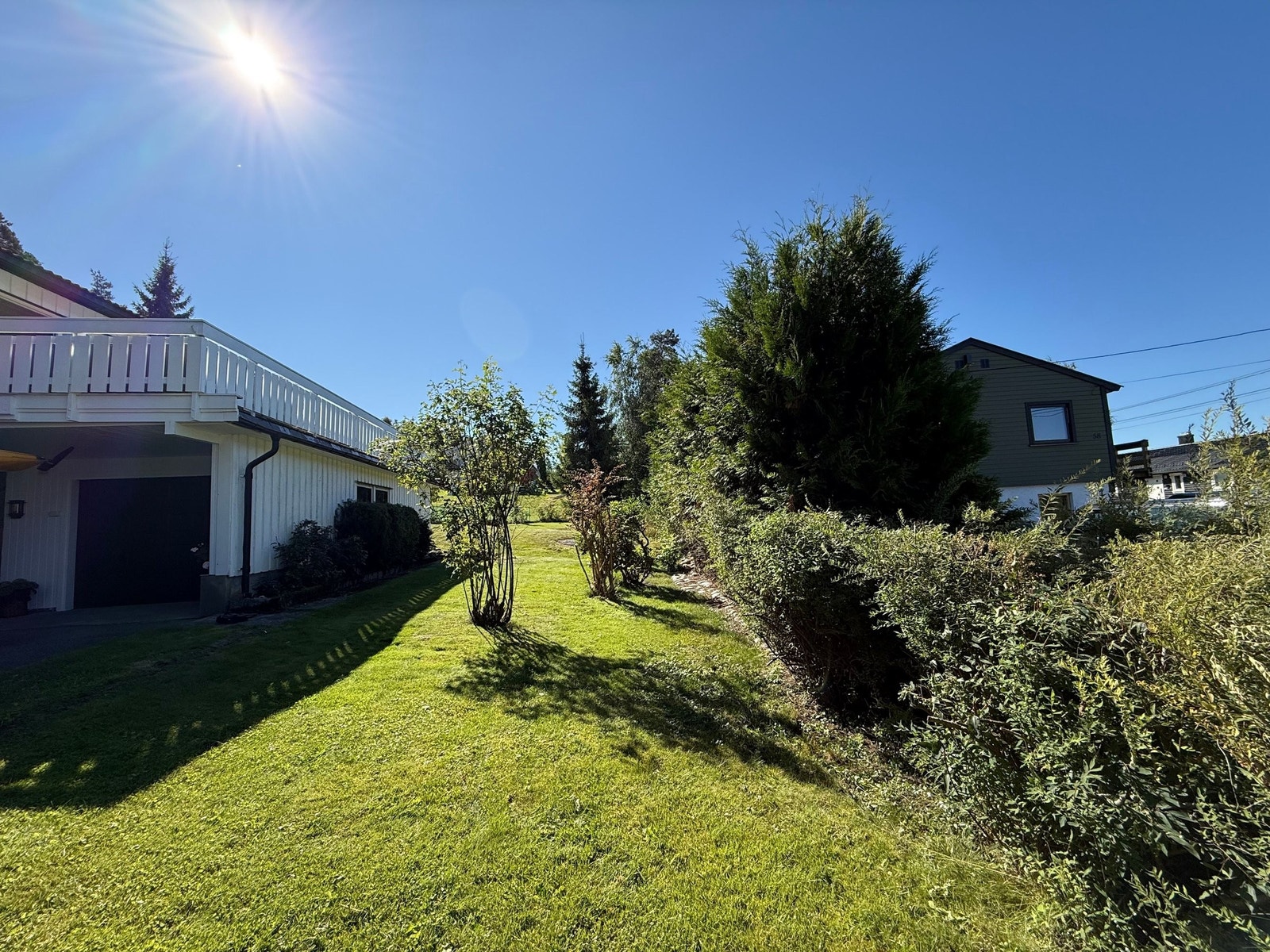 Festningsåsen 60 om sommeren. Galleribilde