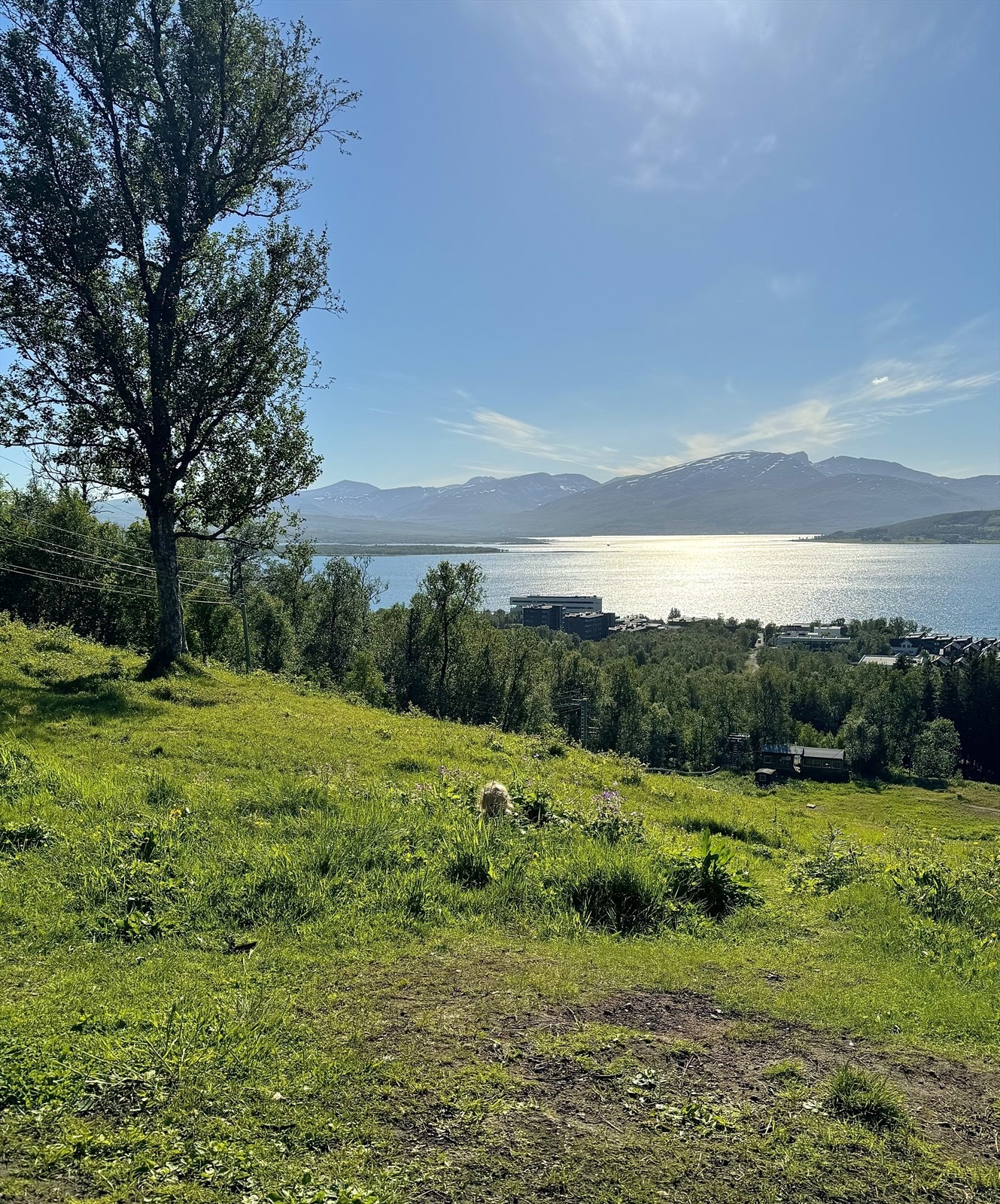 Privat bilde fra nærområdet. Galleribilde