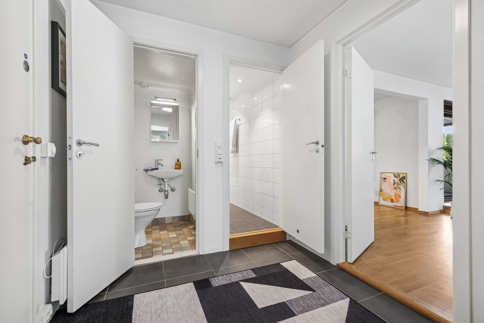 Entré som gir tilgang til alle rom i boligen. Galleribilde