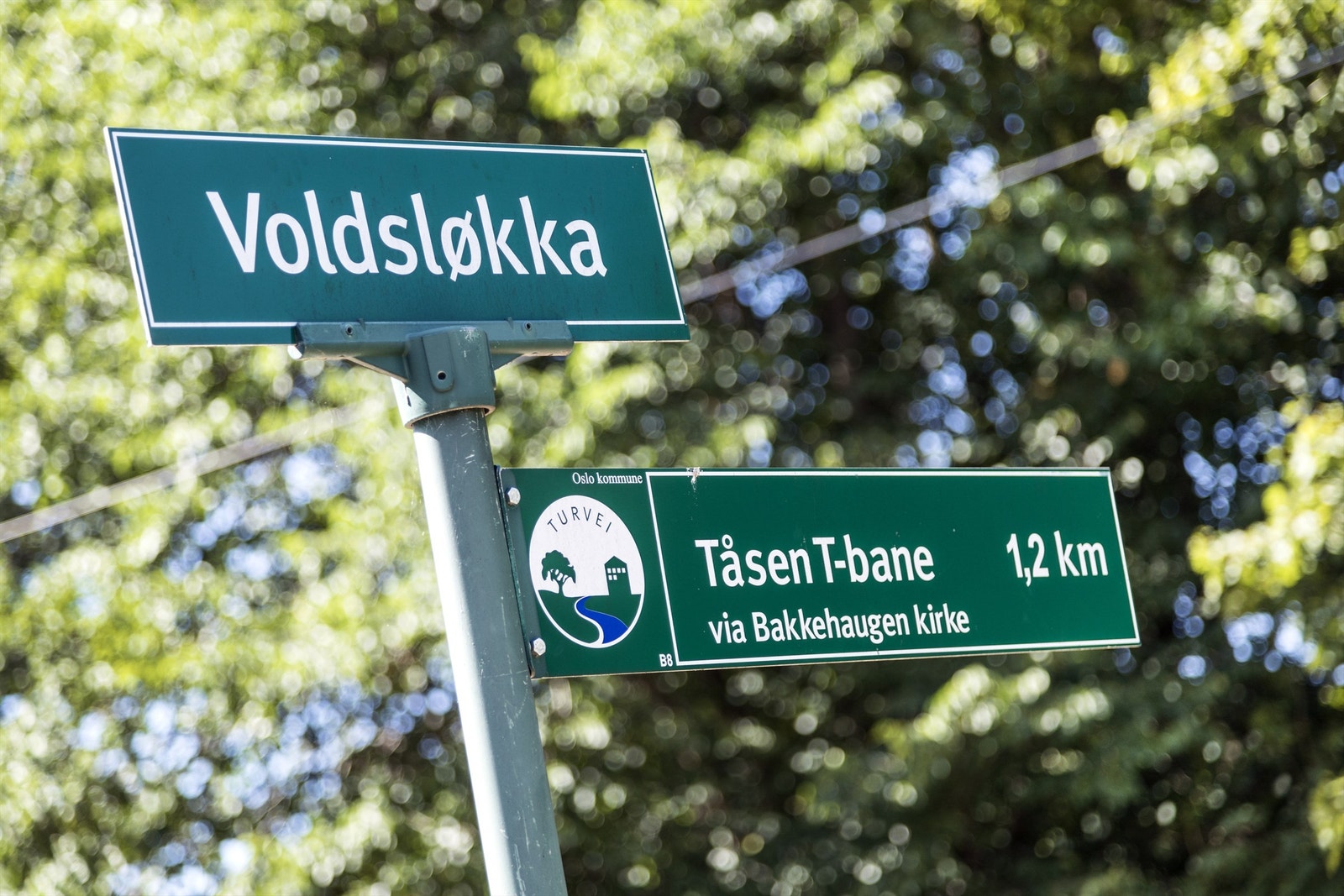 Voldsløkka med sine mange aktivitetsmuligheter ligger rett utenfor døren. Galleribilde