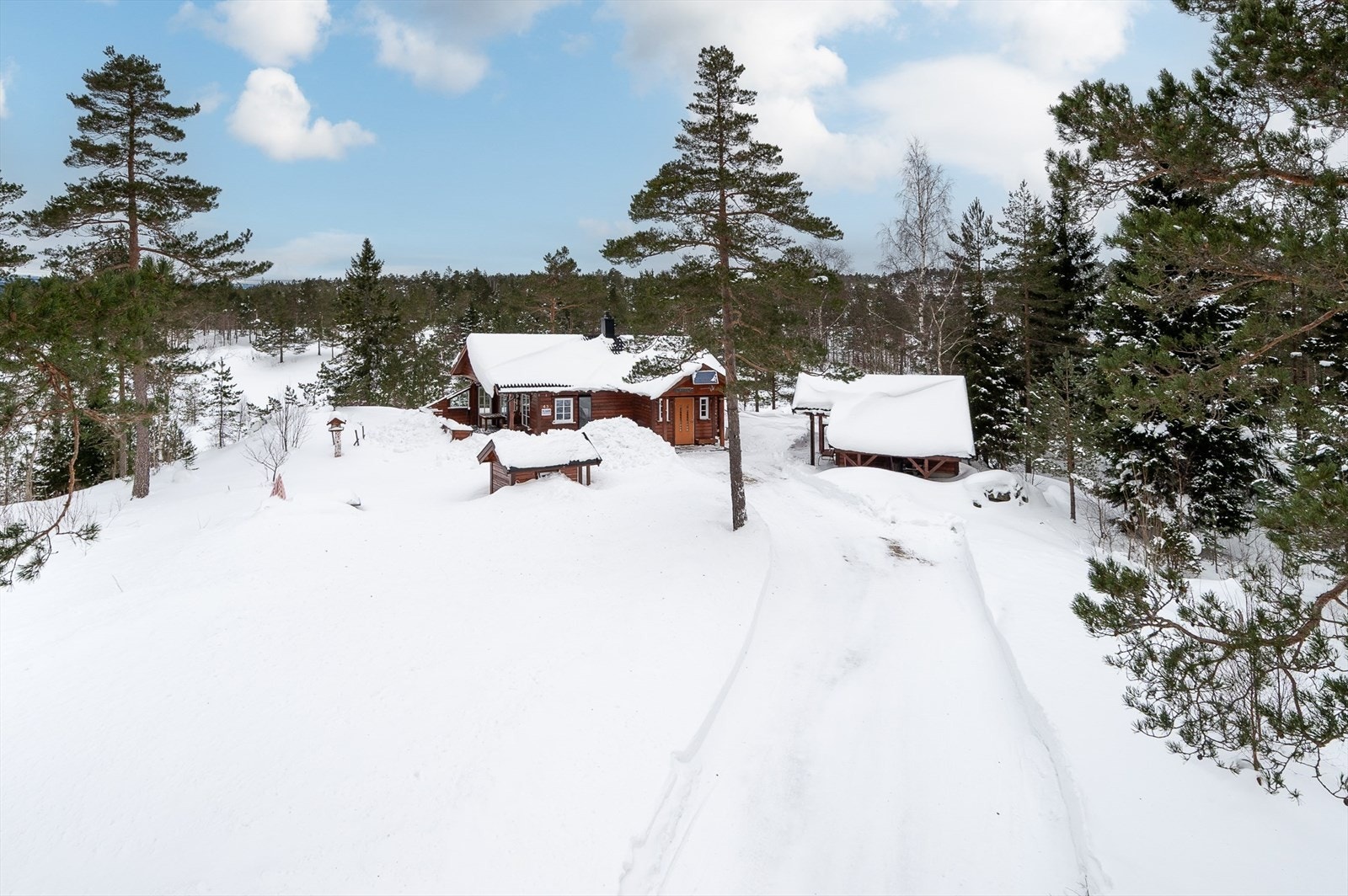 Hele 1.1 mål usjenert tomt Galleribilde