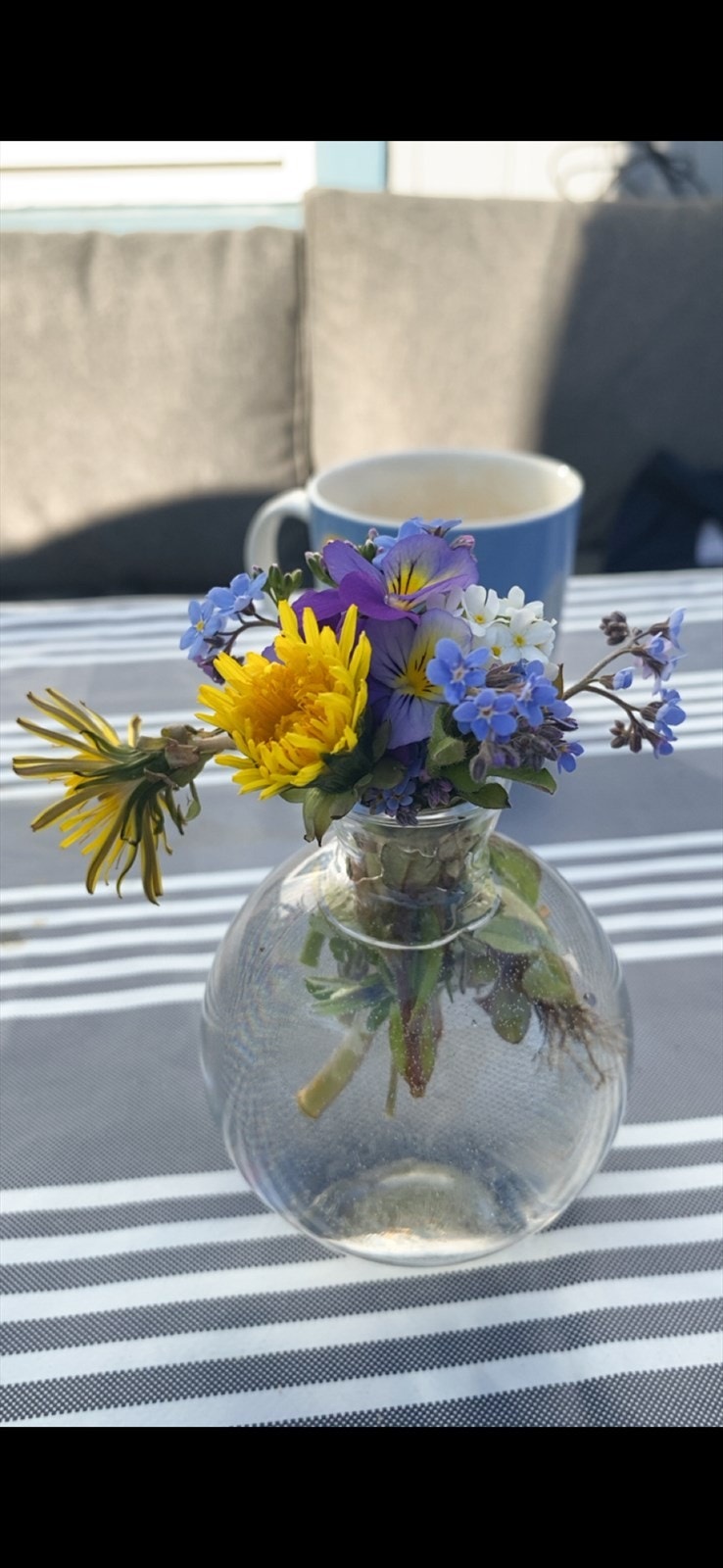 Sommerbilde tatt av selger. Galleribilde