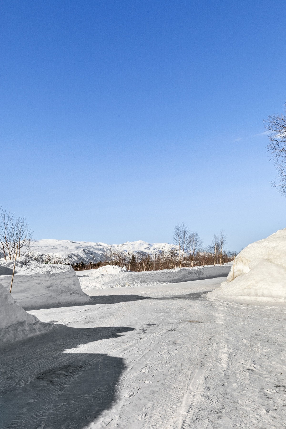 Utsikt fra eiendommens innkjøring Galleribilde