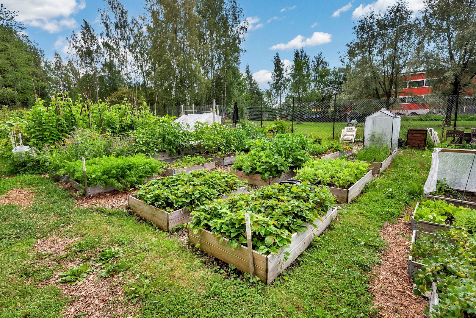 Mulighet for parsellhage og et hyggelig parsellhagemiljø etter venteliste. Galleribilde