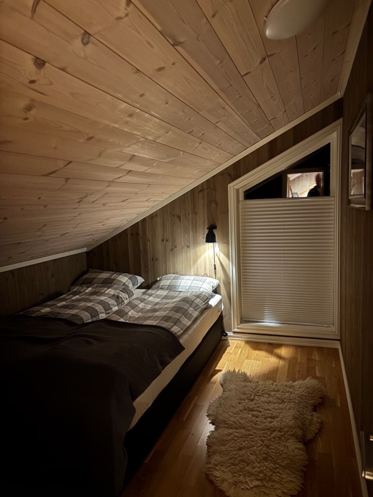 Selgers bilde. Galleribilde