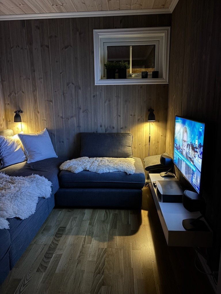 Selgers bilde. TV-Stue. Galleribilde