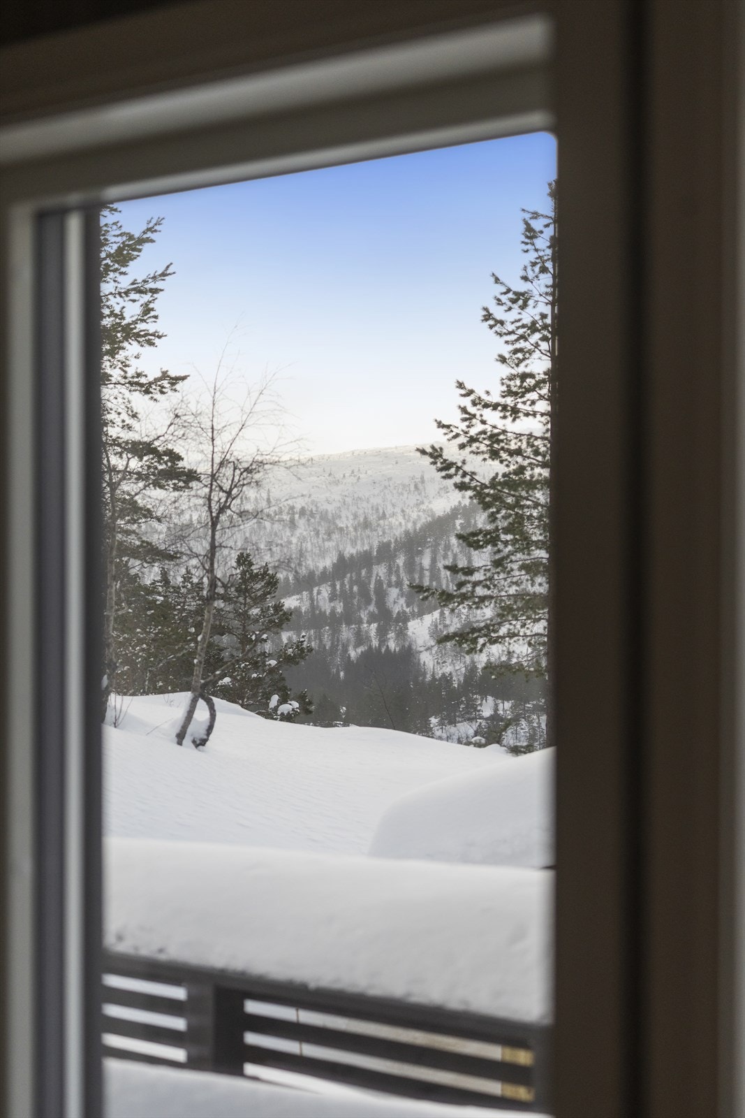 Flott utsikt. Galleribilde