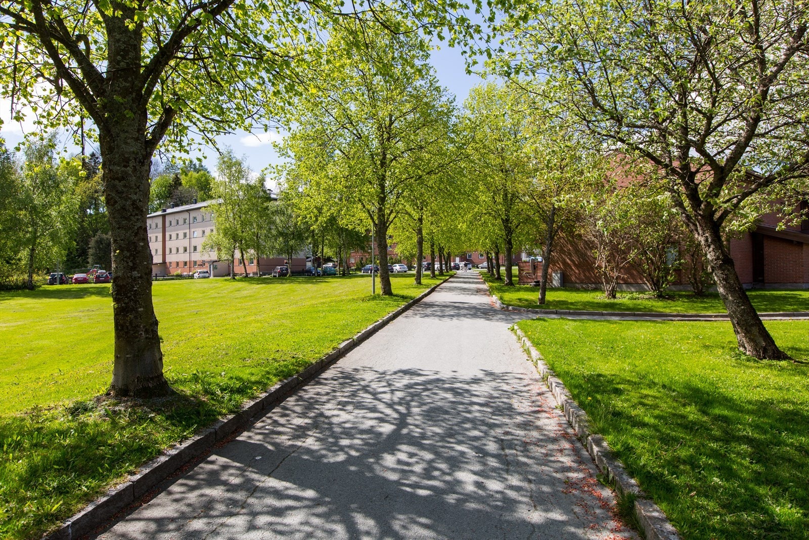 Området byr på et godt kollektivtilbud som gjør veien til sentrum kort, samt et bredt aktivitetstilbud og gode turmuligheter i Bymarka. Bussholdeplass like i nærheten med hyppige avganger mot byen. Galleribilde