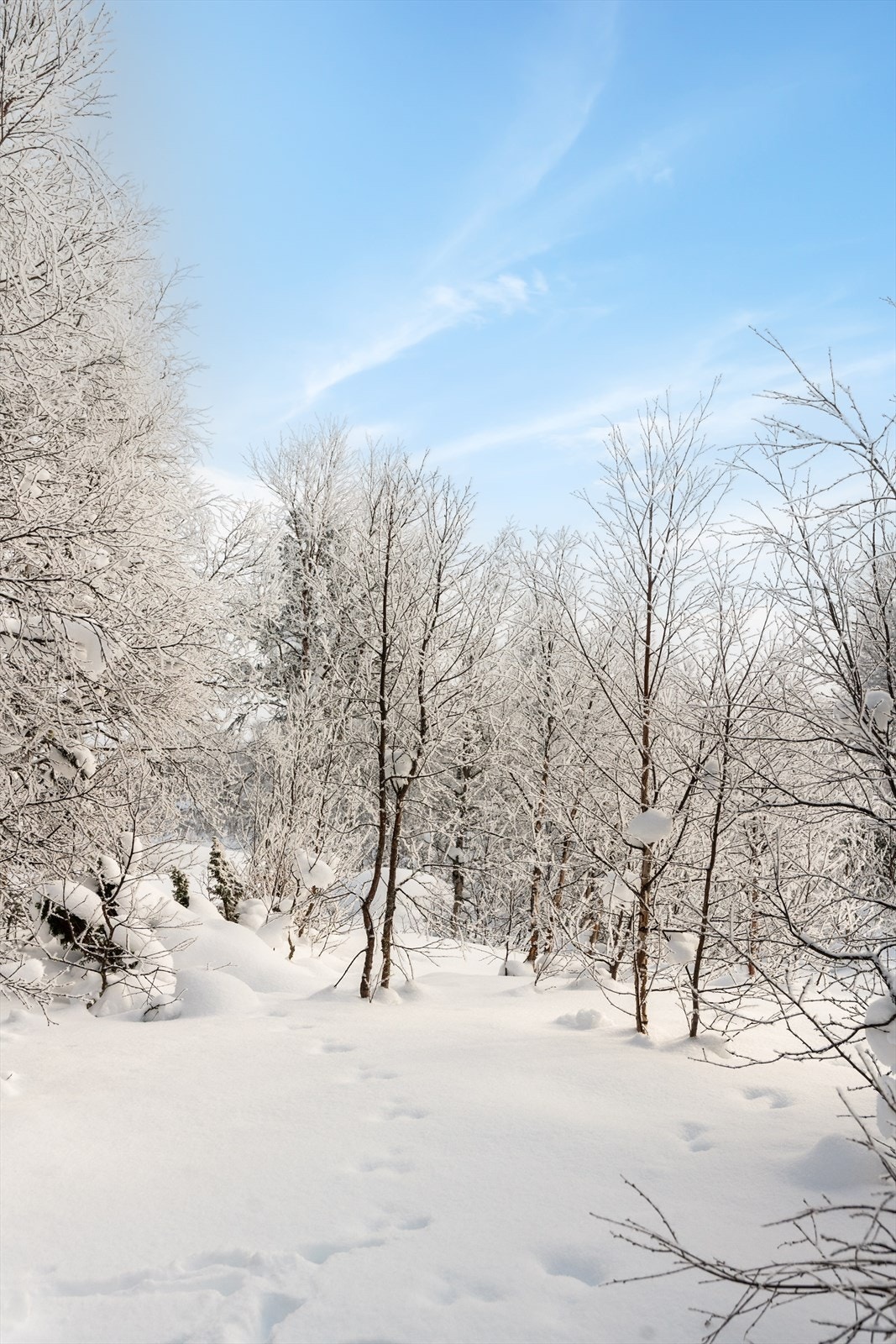 Hytta har en nydelig beliggenhet i naturskjønne omgivelser, helt på kanten av Hardangervidda. Her har du fantastisk høyfjellsterreng og Møsvatn rett i nærheten! Galleribilde