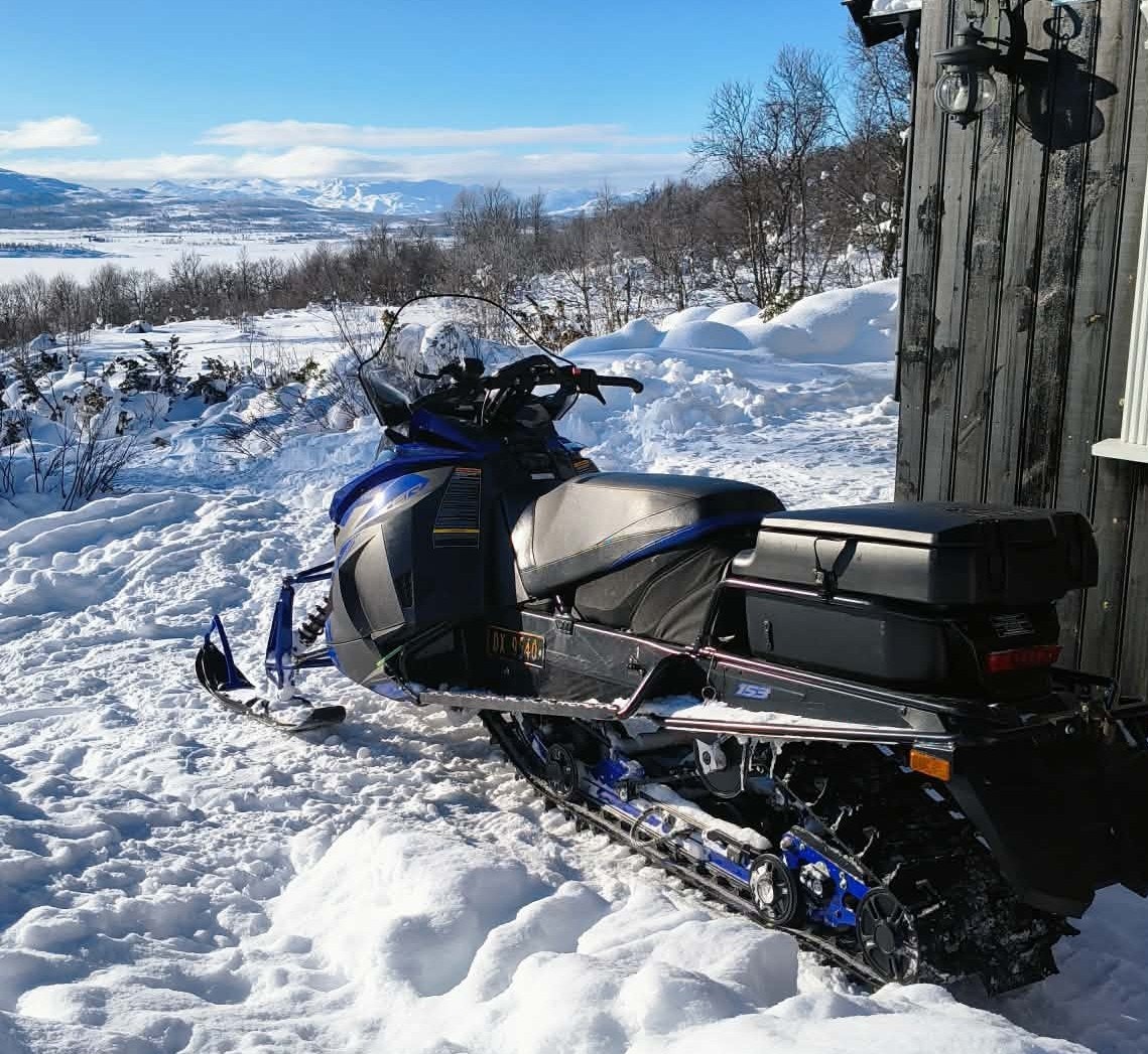 Selgers bilde Galleribilde